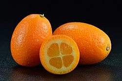 Kumquat Oranges - Premium grafted citrus seedling available at Mynzagric