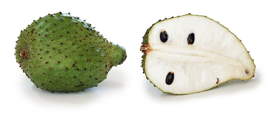 Soursop - Premium grafted tropical seedling available at Mynzagric