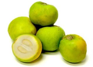 White Sapote - Premium grafted tropical seedling available at Mynzagric